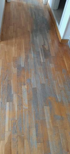 RESTAURO PARQUET ROVERE 